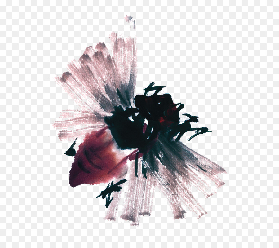 Plumes，Rose PNG