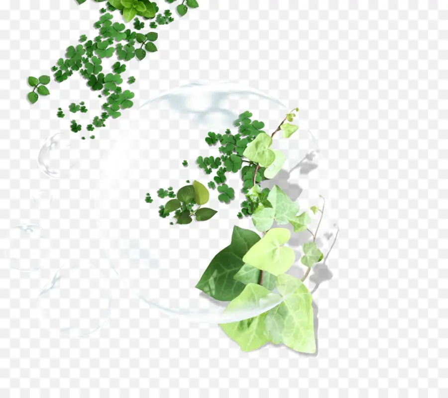 Feuilles Vertes，Plantes PNG