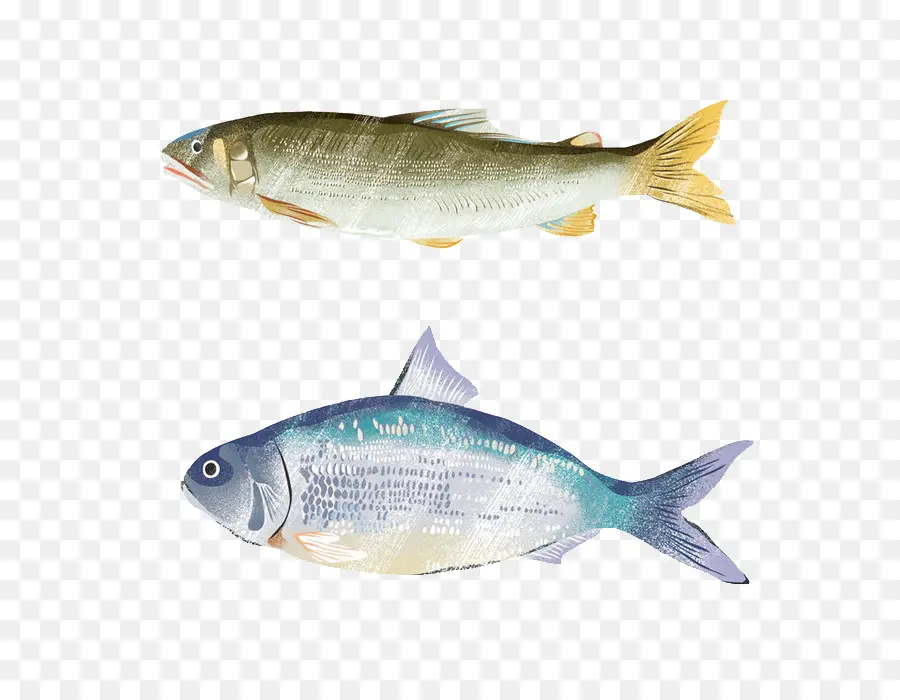 Poisson，Aquatique PNG