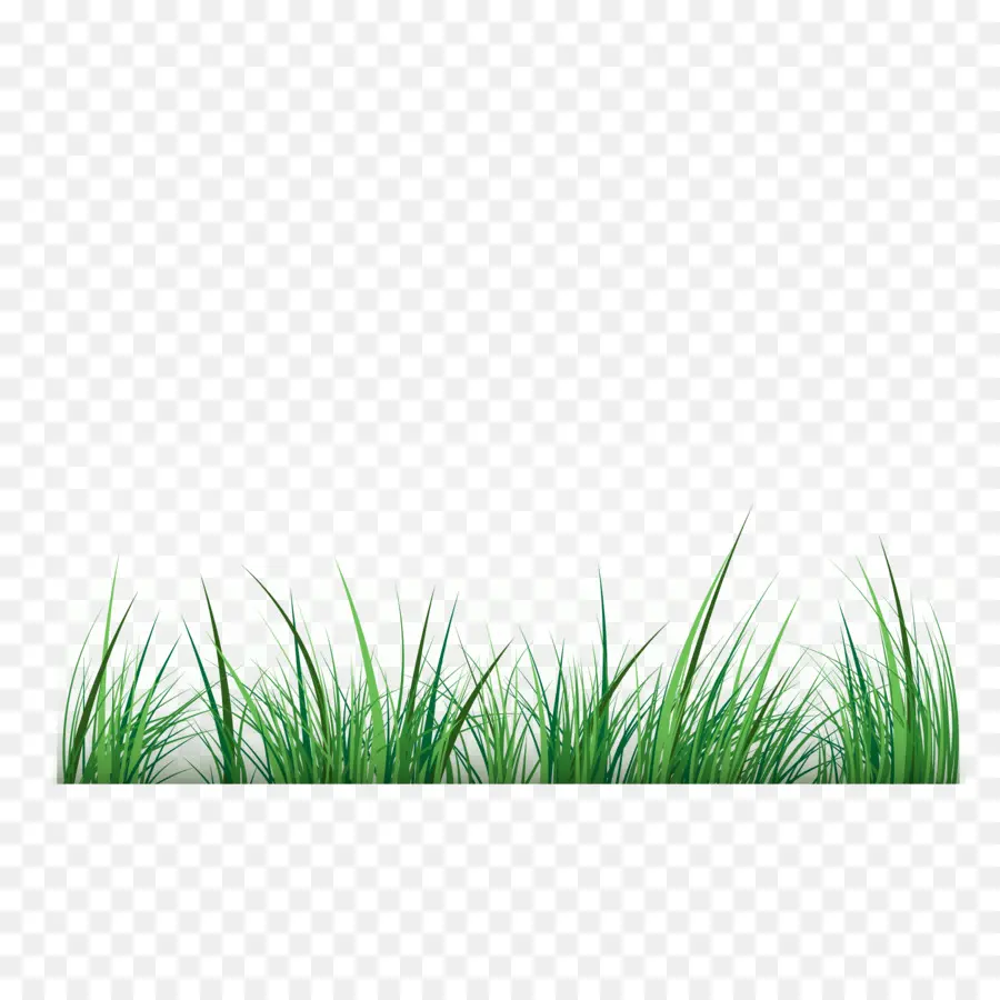 Vert，Sig Grass PNG