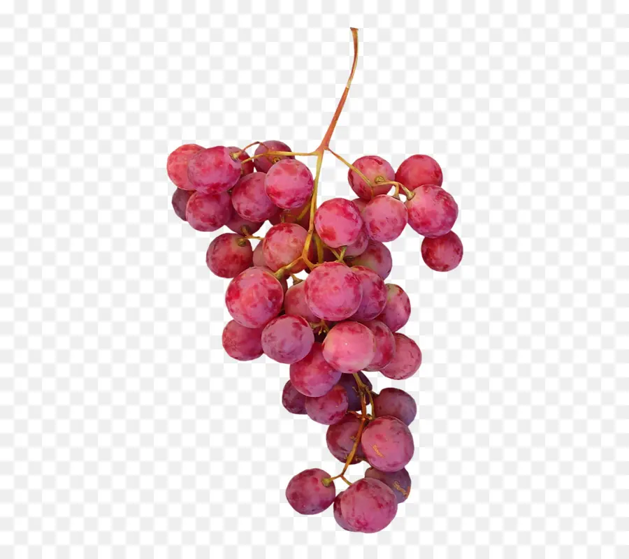 Raisins Rouges，Grappe PNG