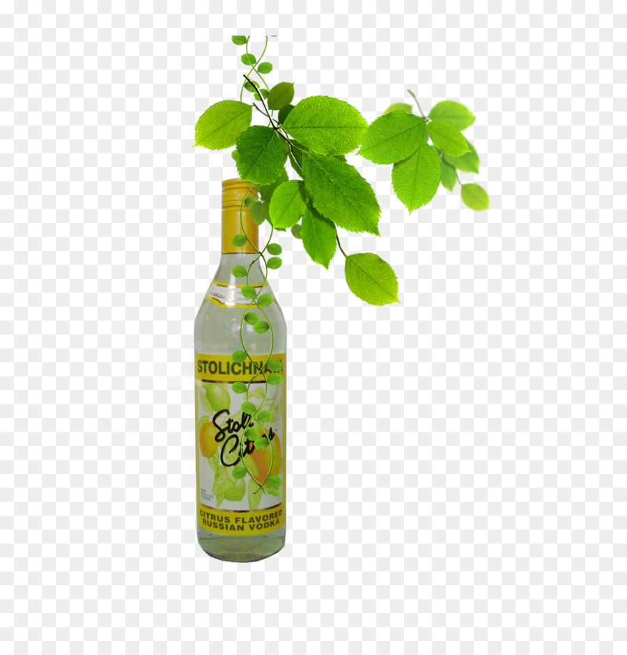 Bouteille De Vodka，Stolichnaïa PNG