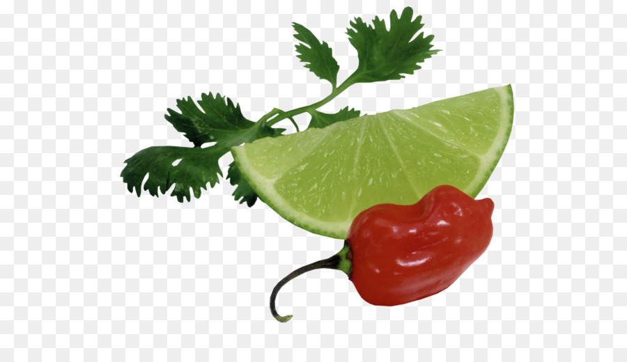 Citron Vert Et Poivre，Coriandre PNG