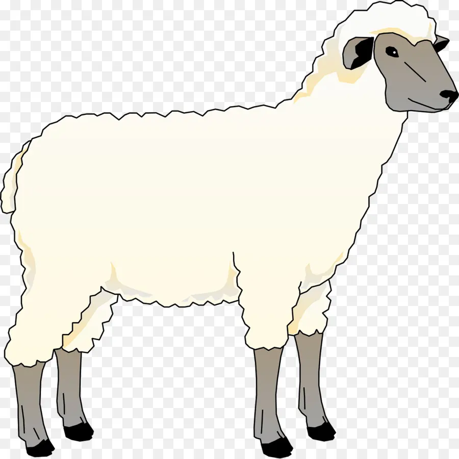 Les Moutons，Dessin PNG
