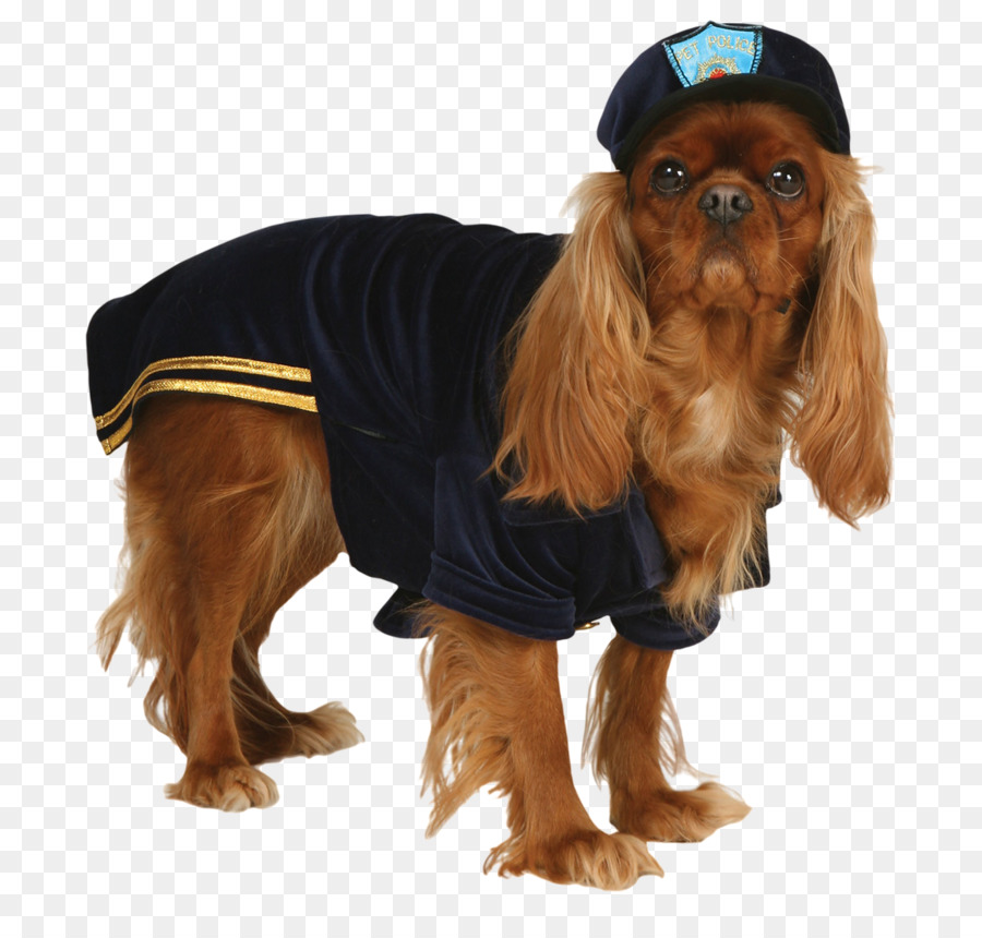 Chien En Costume，Police PNG