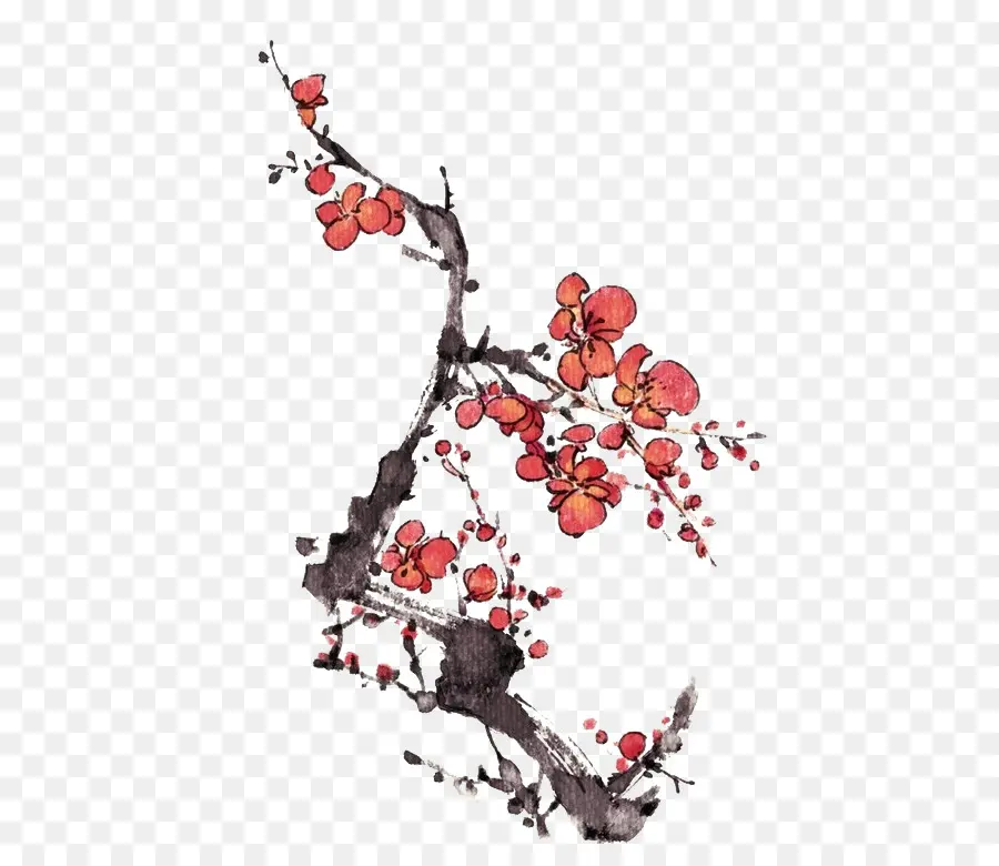 Fleur De Prune，Peinture Chinoise PNG