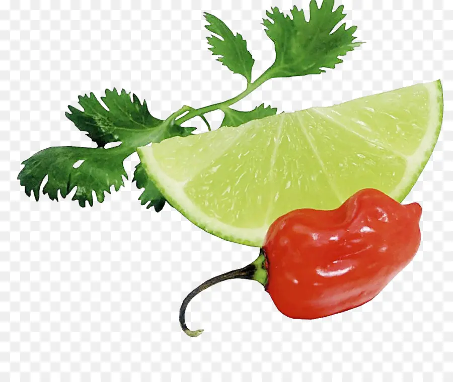 Citron Vert Et Piment，Coriandre PNG