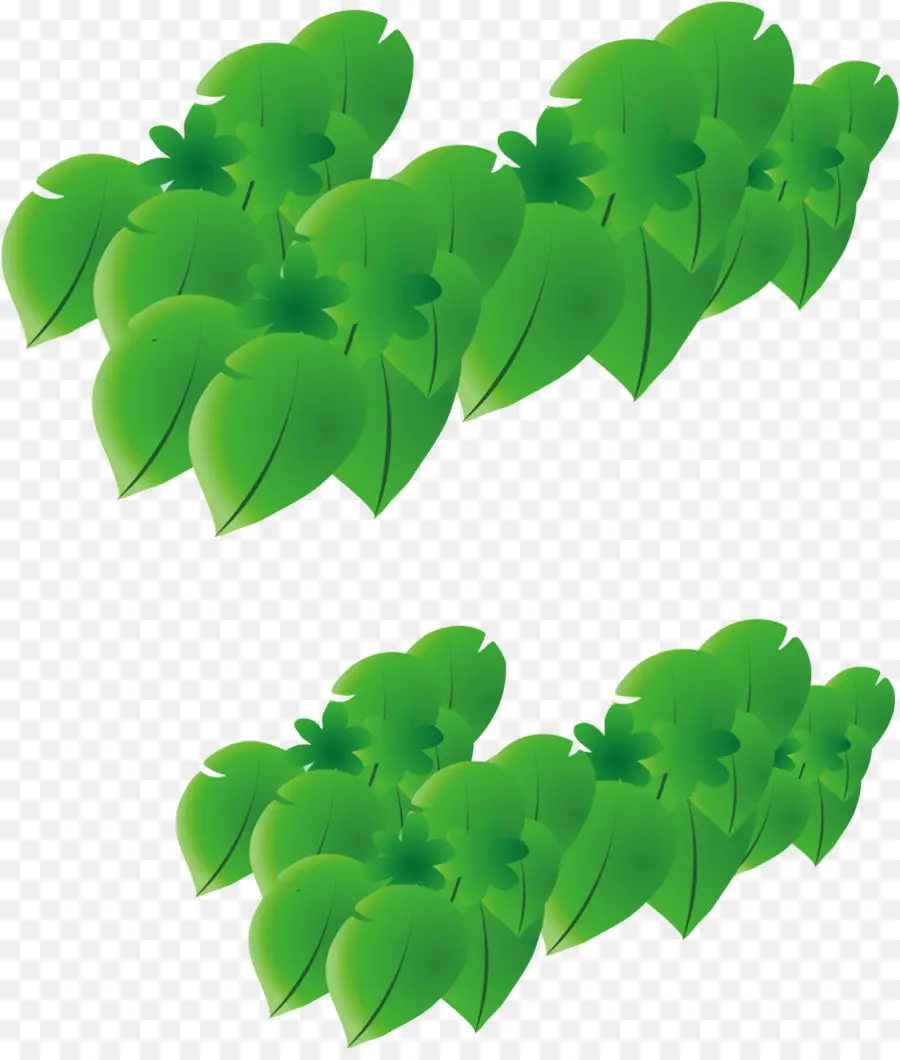 Feuilles Vertes，Plantes PNG