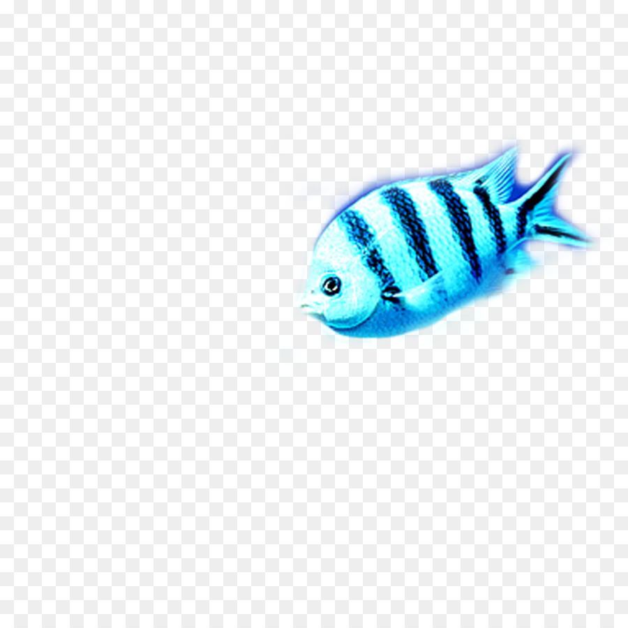 Poisson，Aquatique PNG