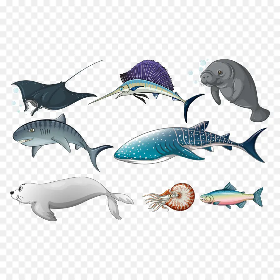 Créatures Marines，Poisson PNG