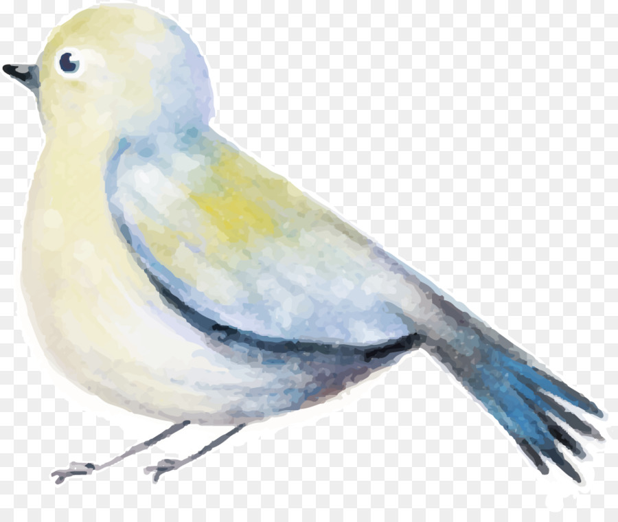 Oiseau，La Peinture à L'aquarelle PNG