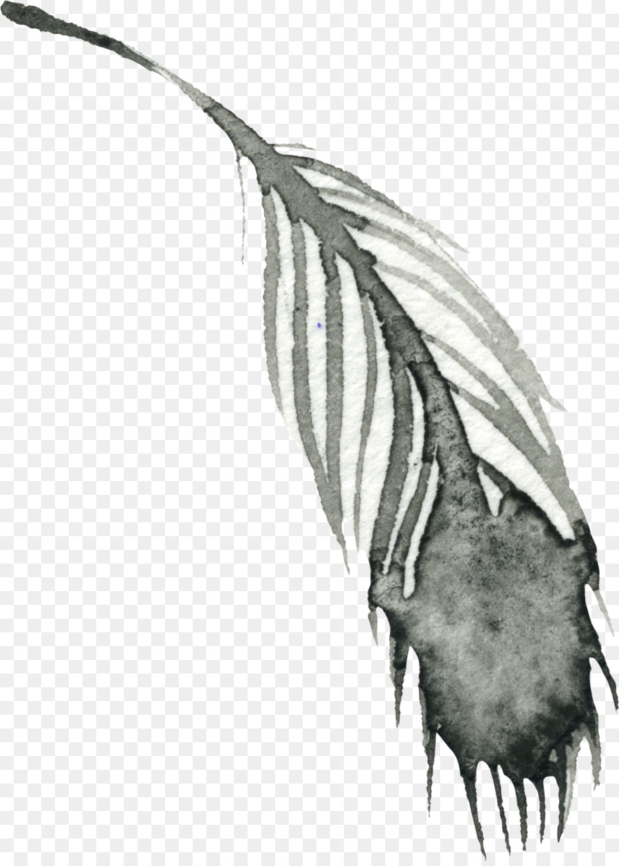 Plume，Oiseau PNG