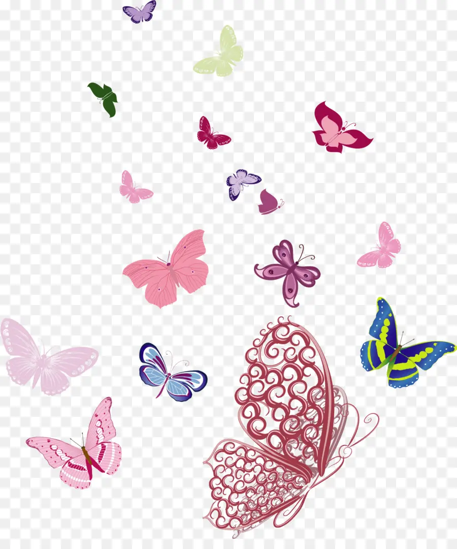 Papillons，Insectes PNG