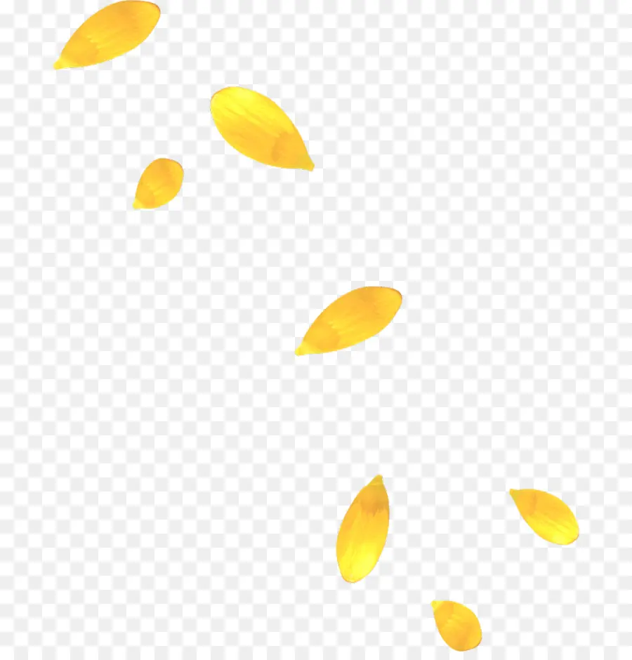 Pétales Jaunes，Fleur PNG