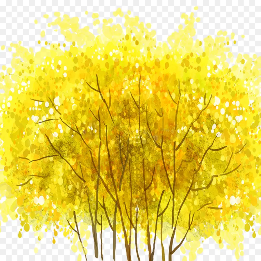 Arbre Jaune，Succursales PNG