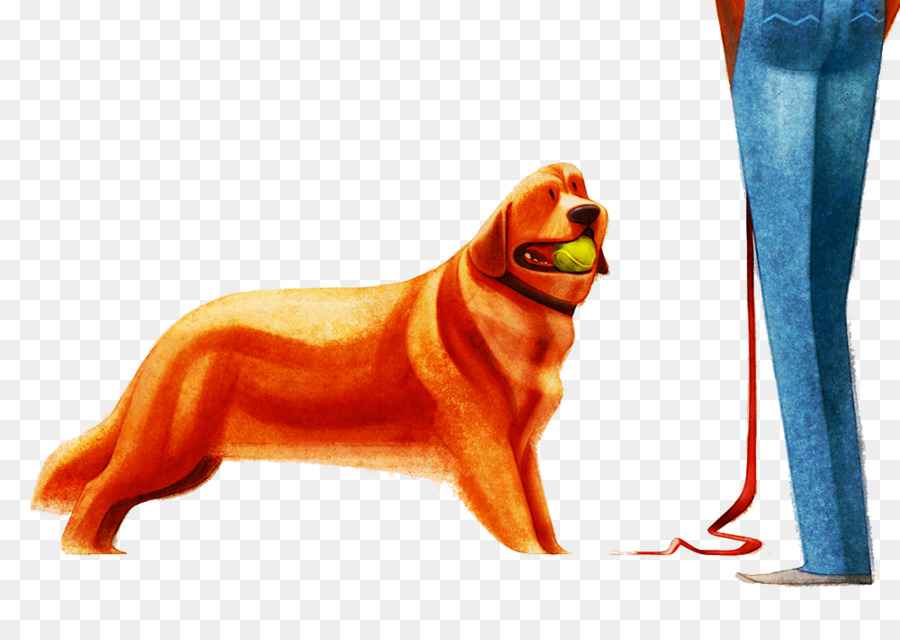 Golden Retriever，Chien PNG