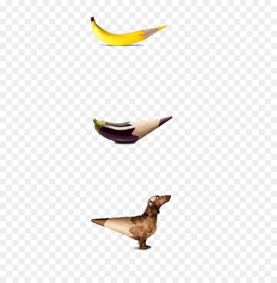 Créatures Au Crayon，Banane PNG