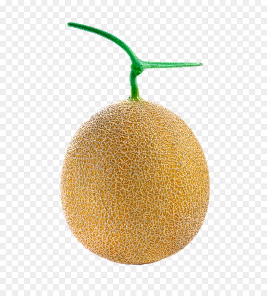 Cantaloup，Galia Melon PNG