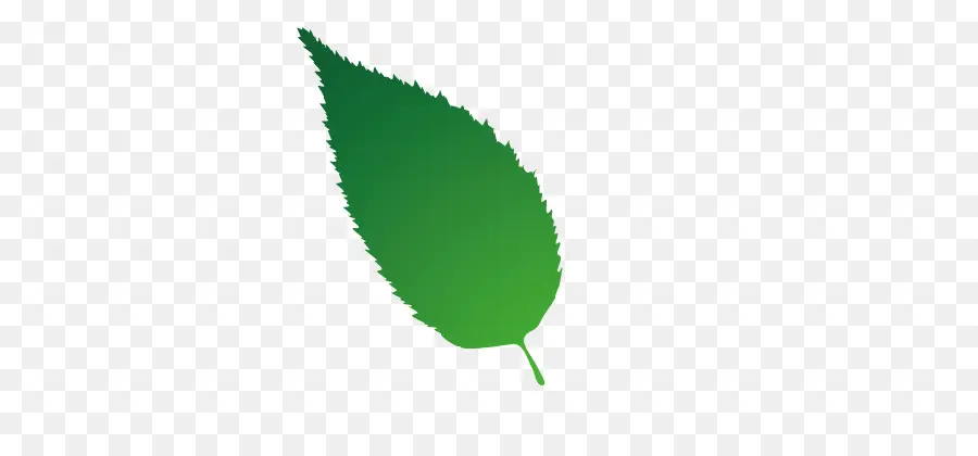 Feuille，Vert PNG