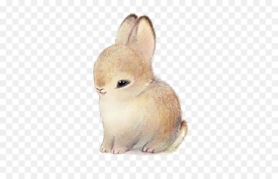 Lapin，Mignon PNG