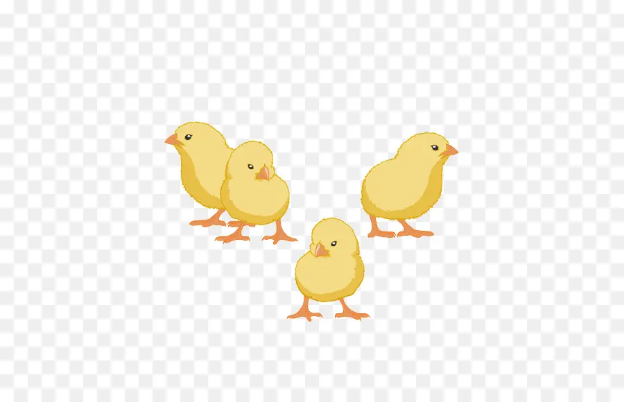 Poussins Jaunes，Mignon PNG