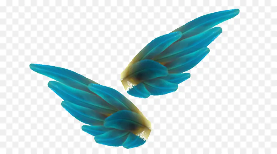 Ailes Bleues，Plumes PNG