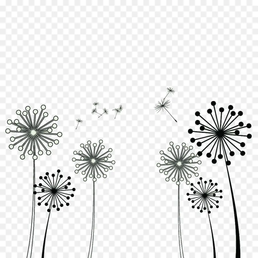 Pissenlits，Fleurs PNG