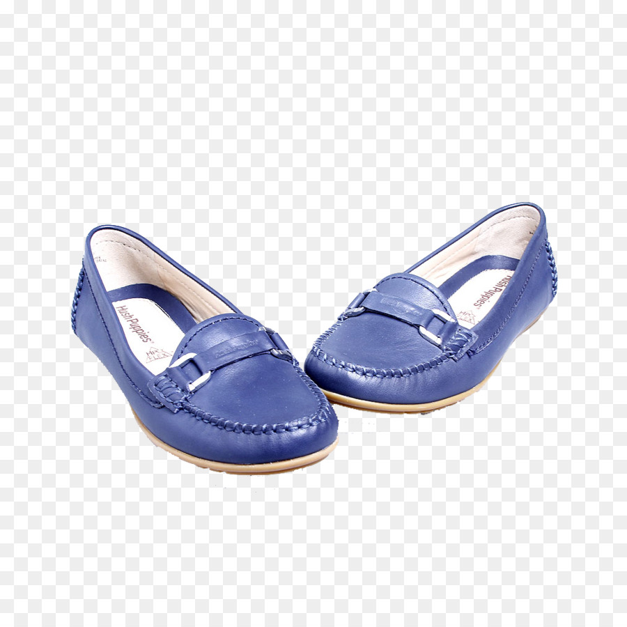 Chaussures Bleues，Flâneurs PNG