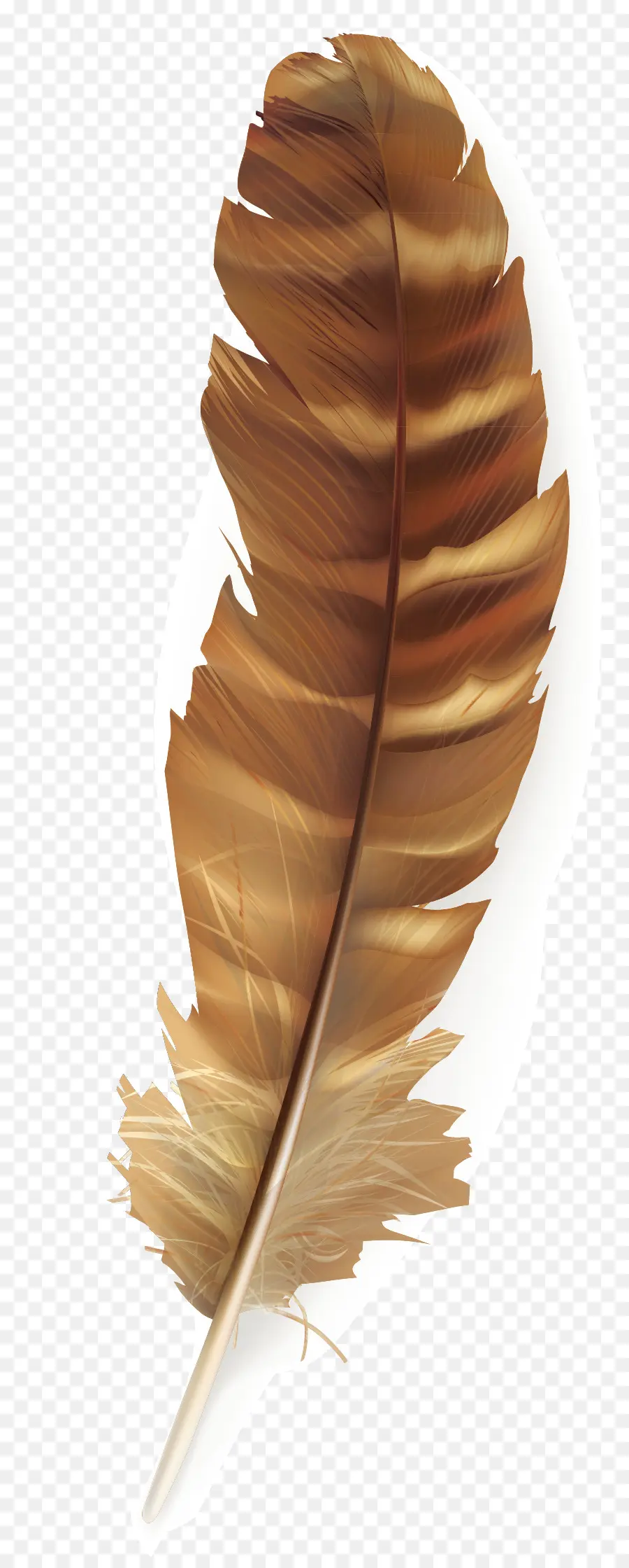 Plume，Brun PNG