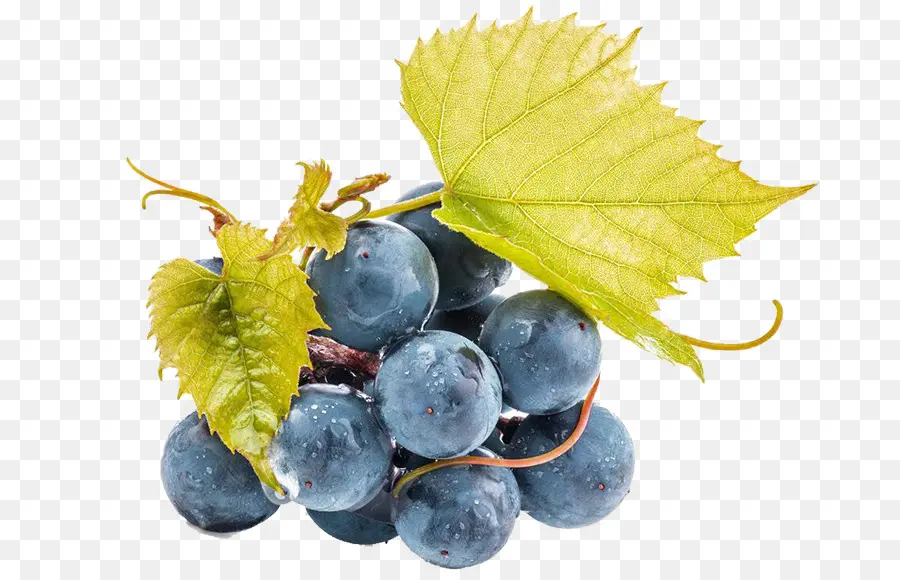 Raisins Noirs，Vigne PNG