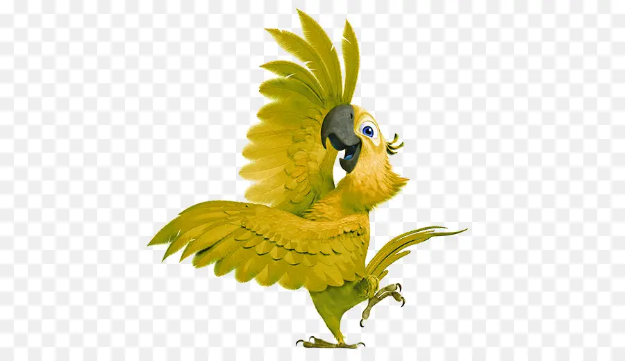 Perroquet Jaune，Plumes PNG