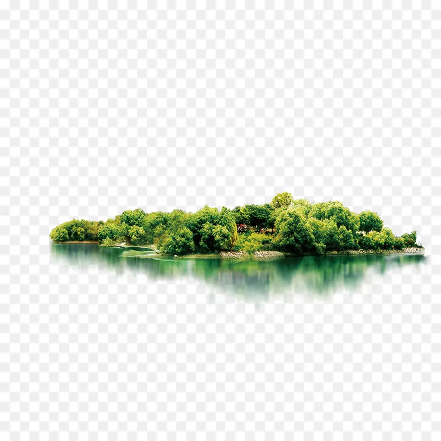 Île，Arbres PNG