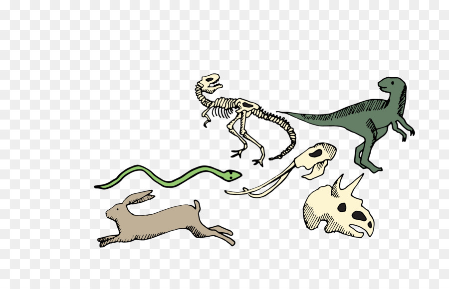 Reptile，Dinosaure PNG