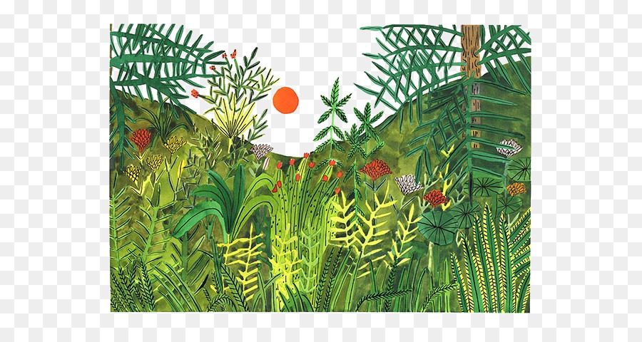 Scène De La Jungle，Plantes PNG