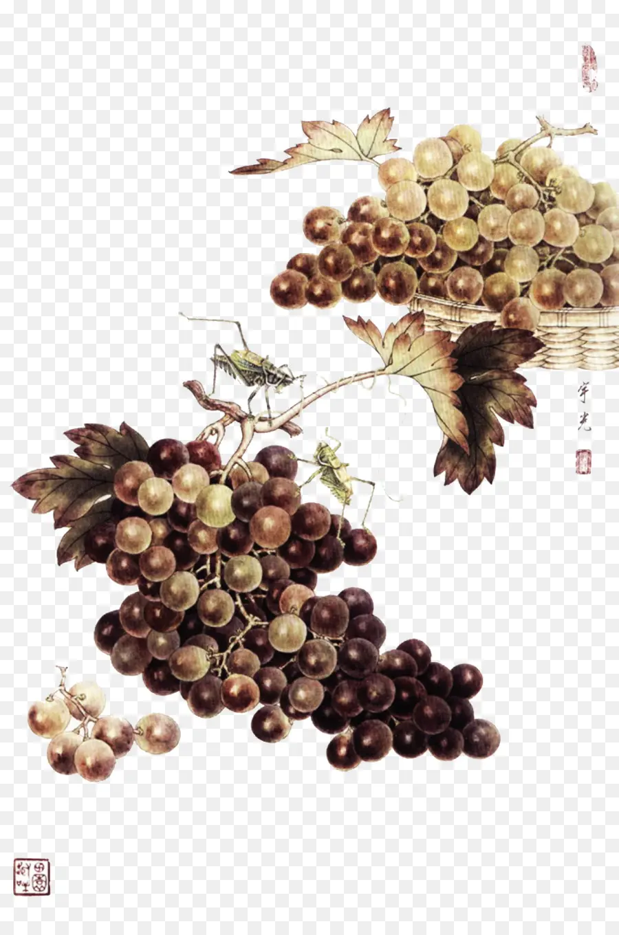 Peinture De Raisins，Fruit PNG