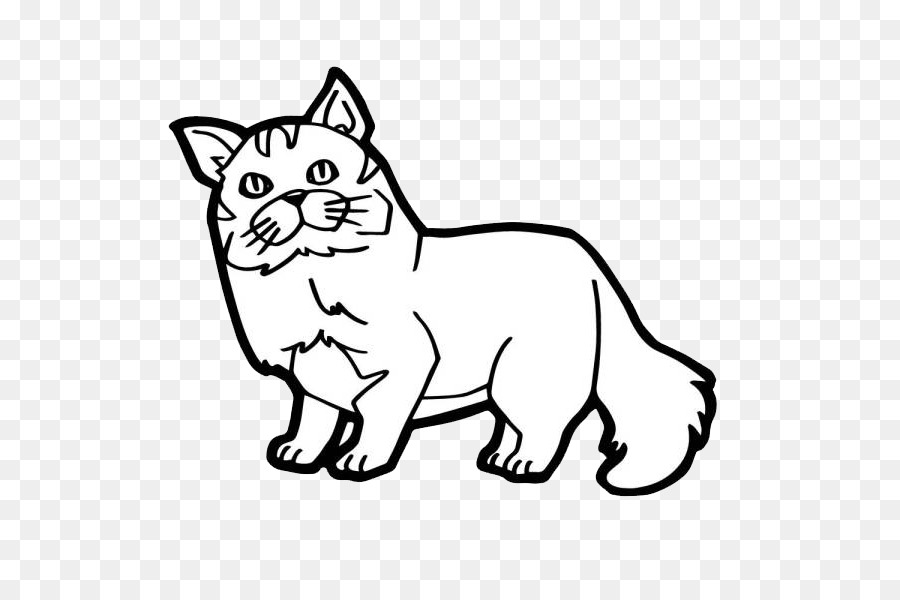 Chat，Animal De Compagnie PNG