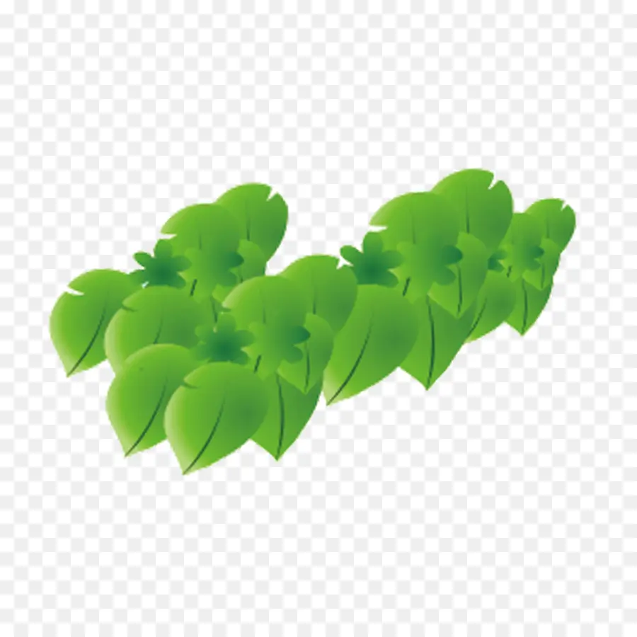 Feuilles Vertes，Plantes PNG