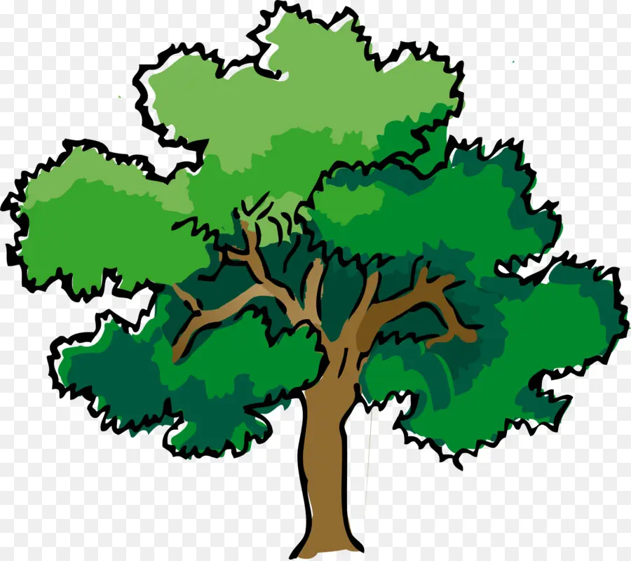 Arbre Vert，Nature PNG