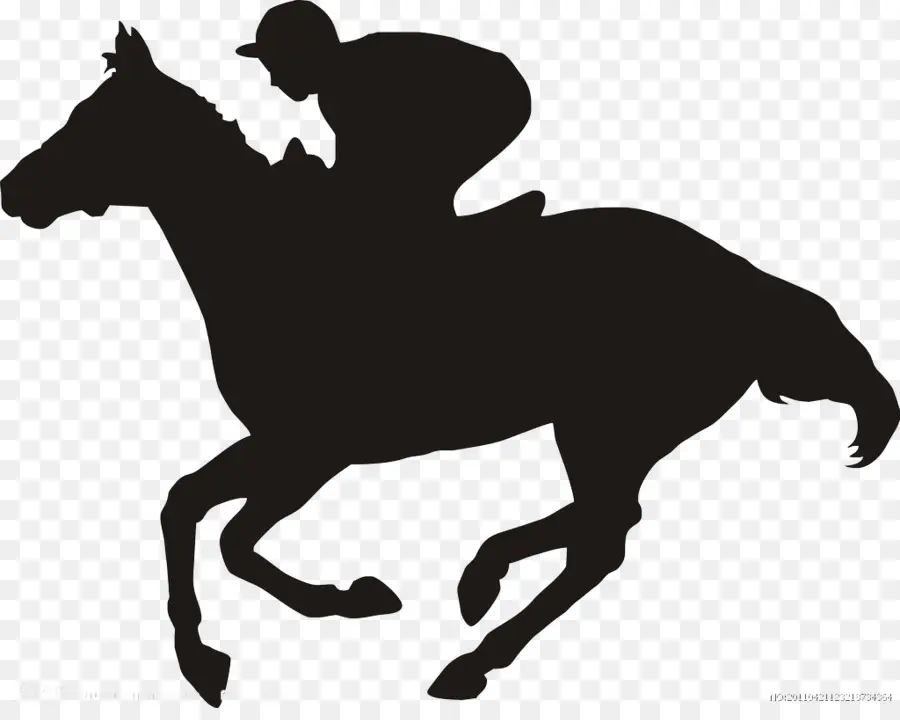 Silhouette De Cheval，Cavalier PNG