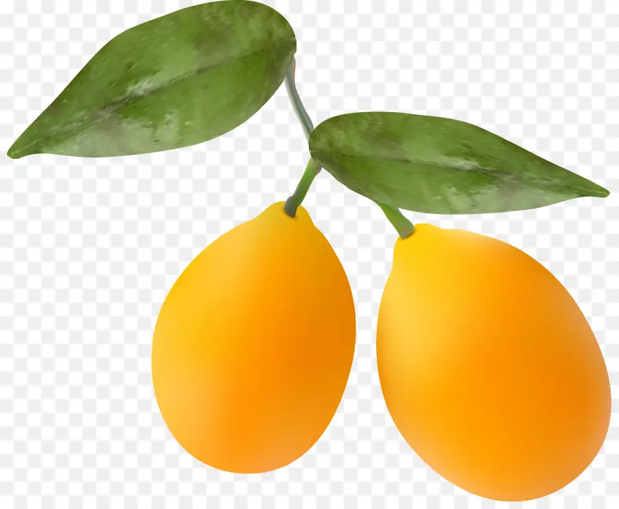 Fruits Jaunes，Feuilles PNG