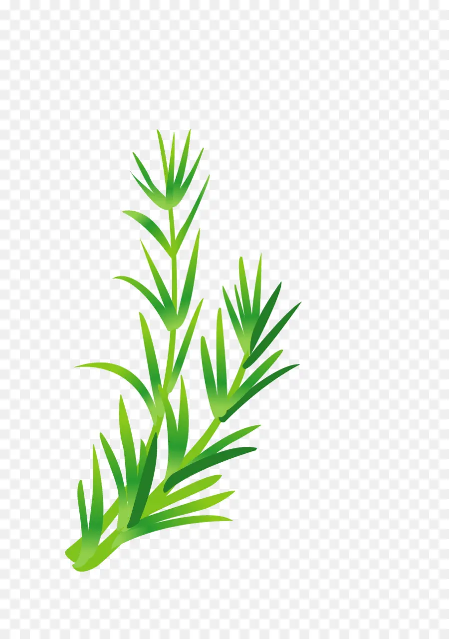 Plante Verte，Nature PNG