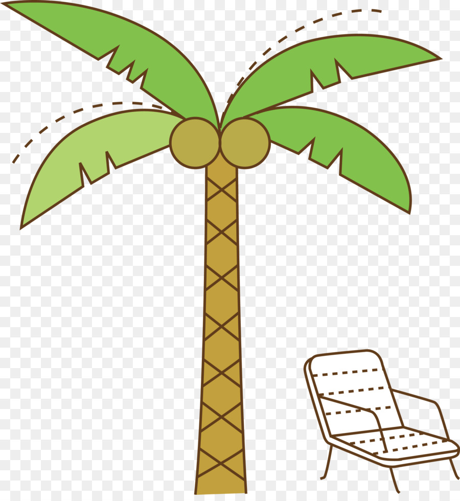 Arecaceae，Arbre PNG