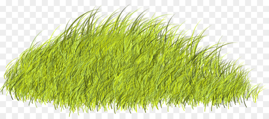 Herbe，Vert PNG