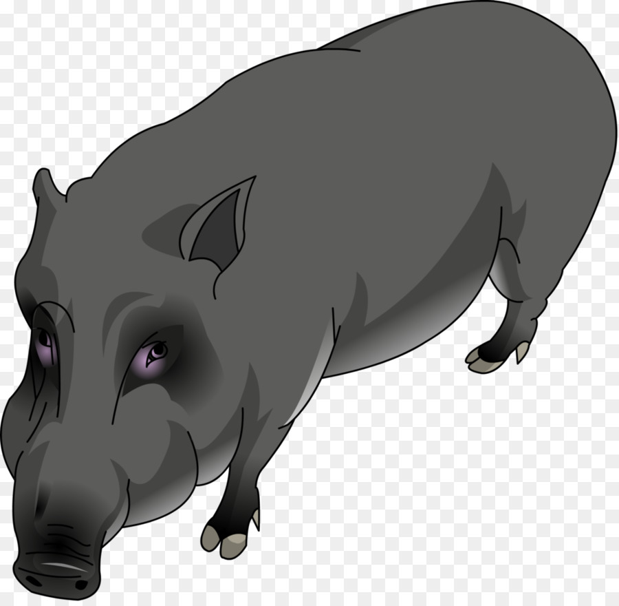 Sanglier，Cochon PNG