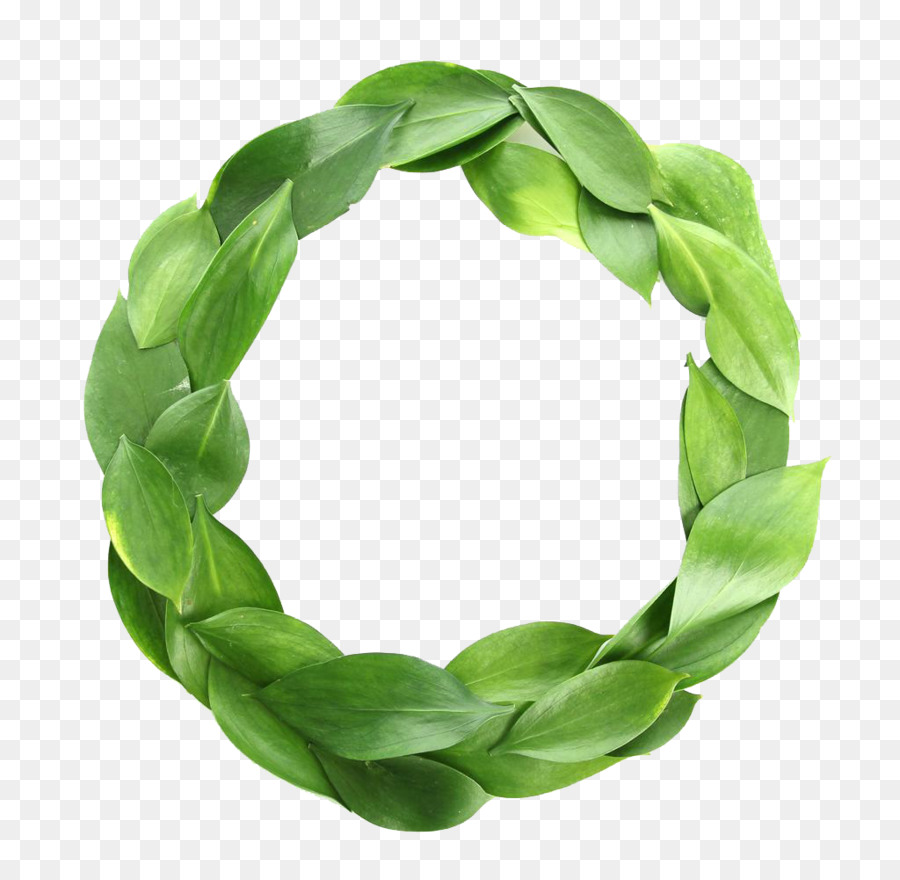 Couronne Verte，Feuilles PNG