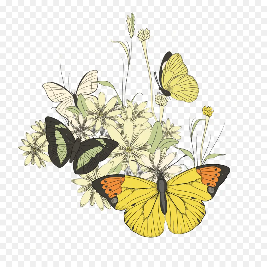 Papillons Et Fleurs，Fleurs PNG