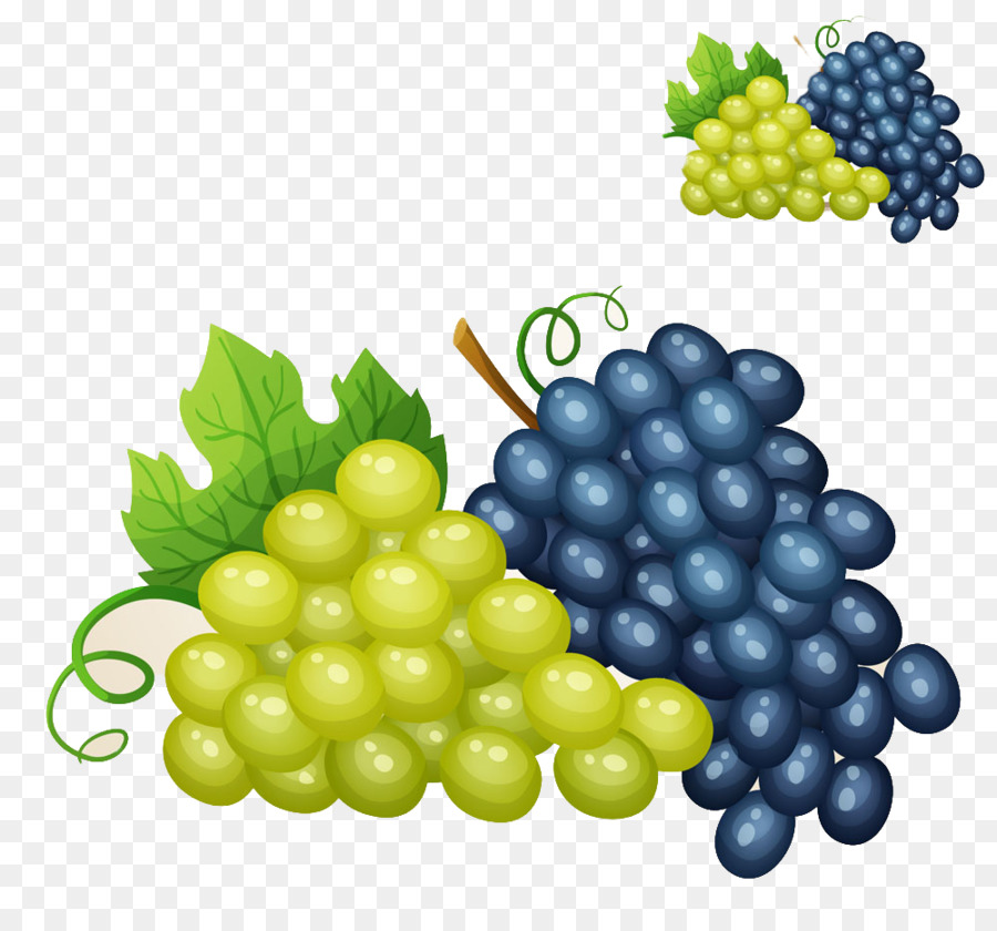 Raisins，Vigne PNG