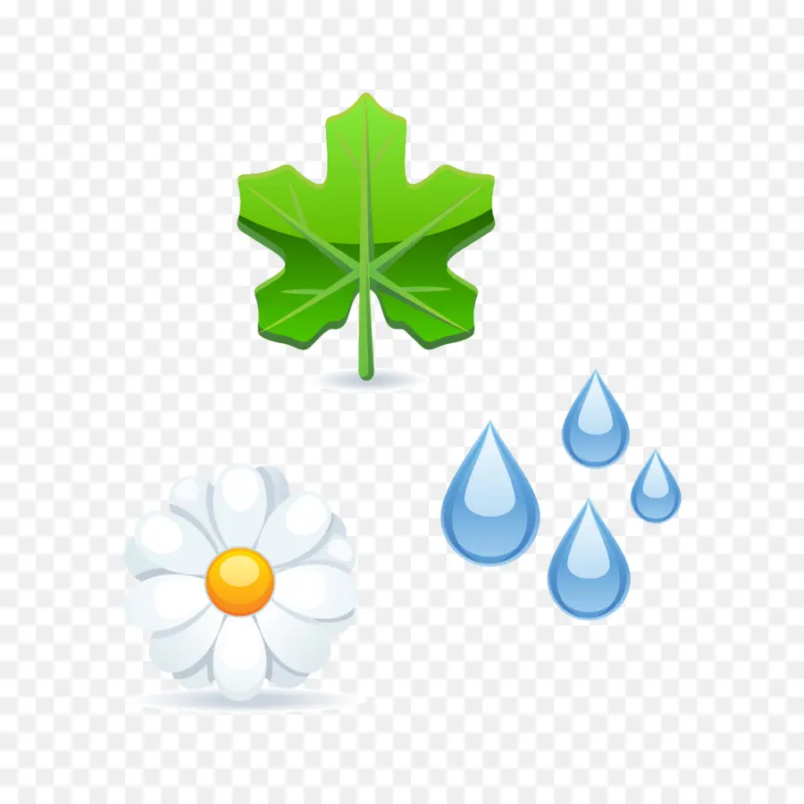 Feuille Fleur Gouttes D'eau，Feuille Verte PNG