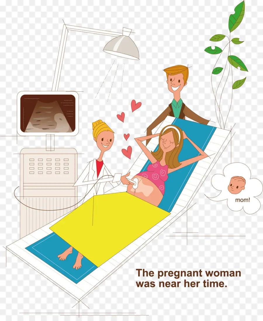 Femme Enceinte，Ultrason PNG