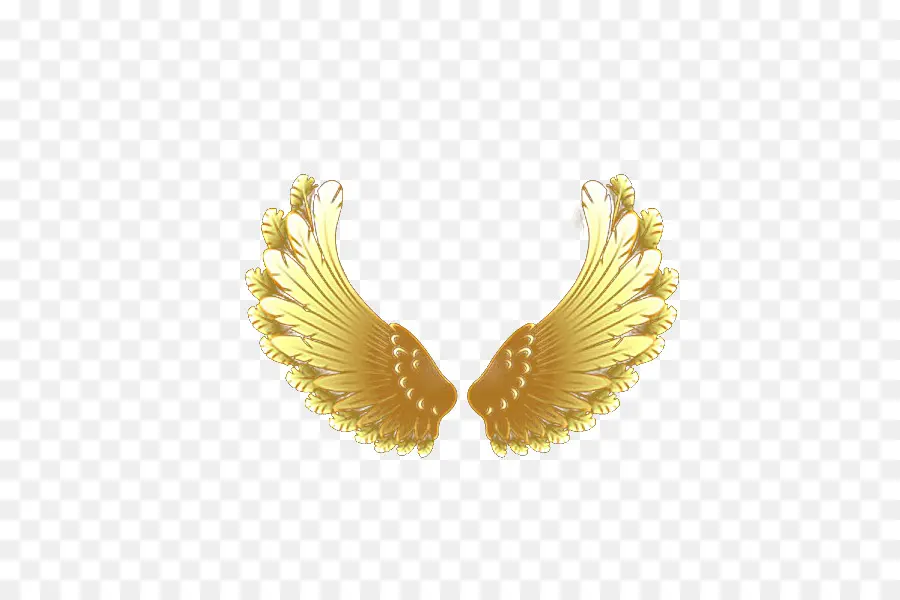 Ailes D'or，Plumes PNG